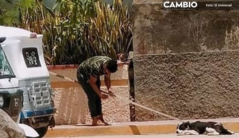 Solo tenía hambre Perrito callejero es asesinado y tirado a la basura